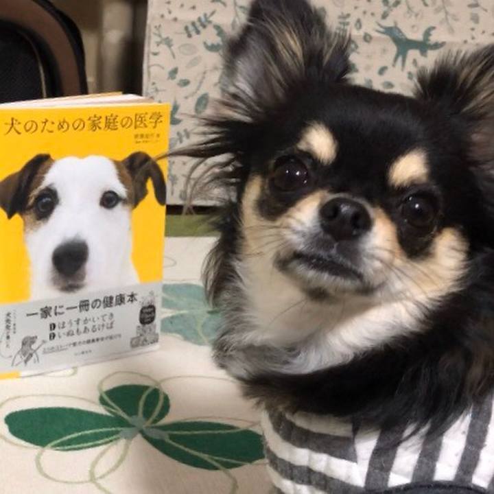 23f77a3a df16 4db9 9bb7 3736f20e472f 1576931681828