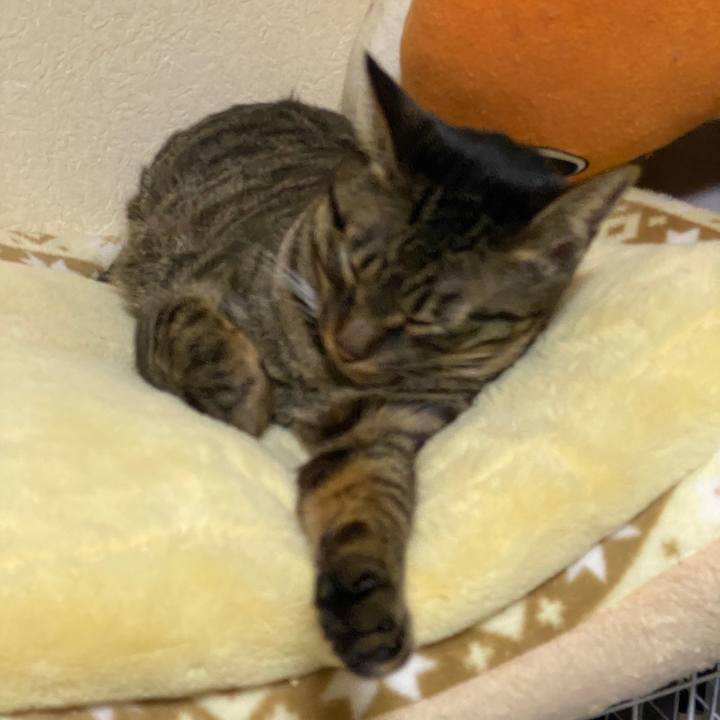 23f7a83c b782 4cca 99f1 569f02cc7233 1582511338363