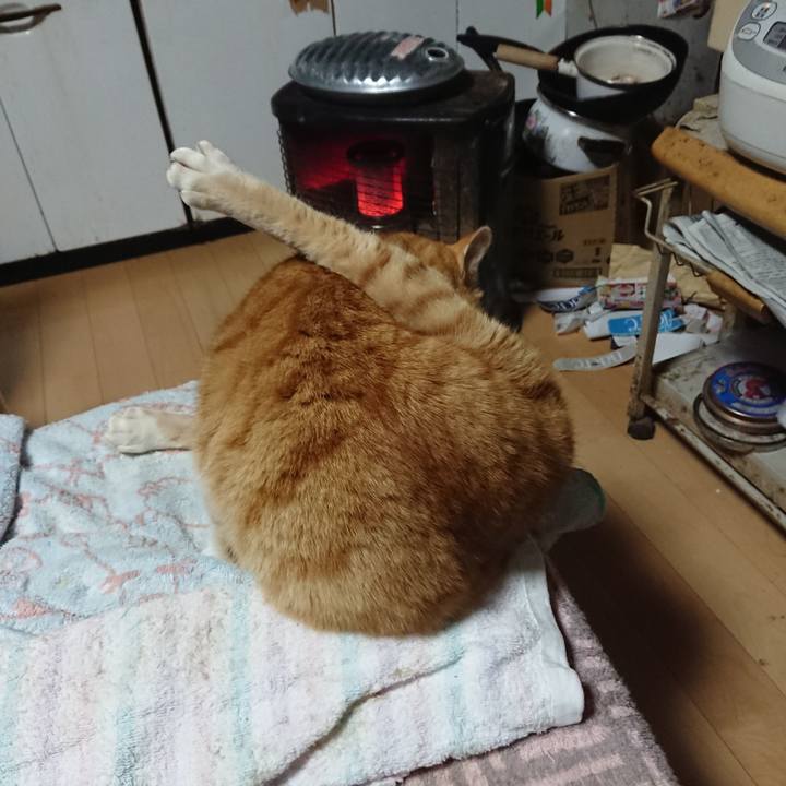 23f7b614 4d4a 44f6 8ea0 29614bf80f37 1606852520163