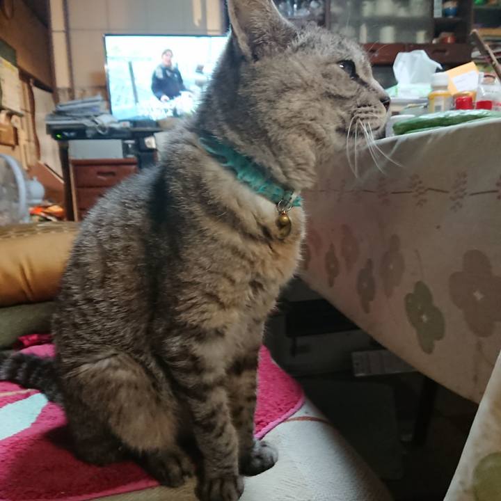 23f7e262 7a22 4b7c b743 e561510a8be4 1568718422052