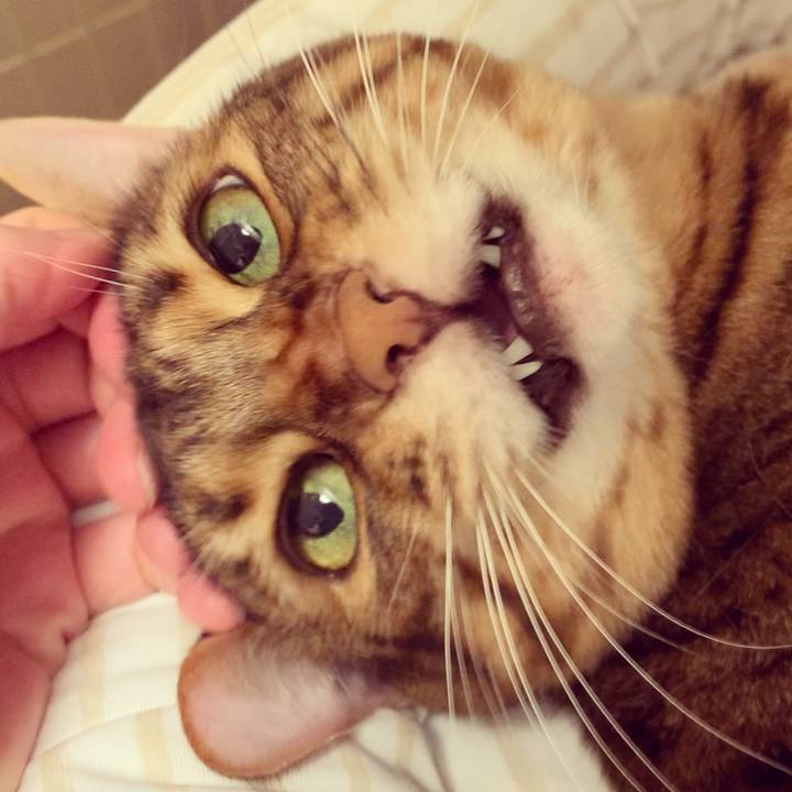 23f7e78e 4110 4096 ad94 d3699104faab 1626303322274