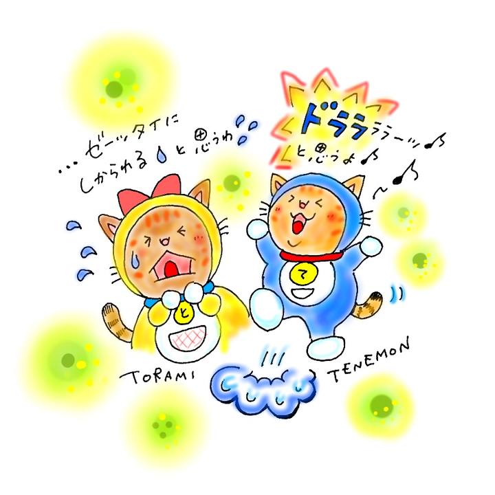 23f81290 e1d6 47a2 8bad e5f509da5446 1573752842952