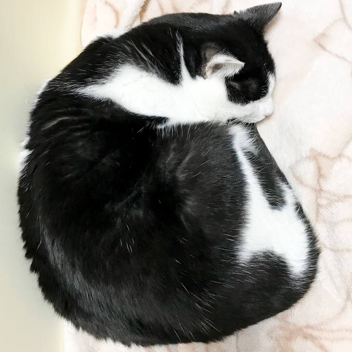 23f81ae6 a000 472a 8a15 a88b4a29bd8b 1513349085973