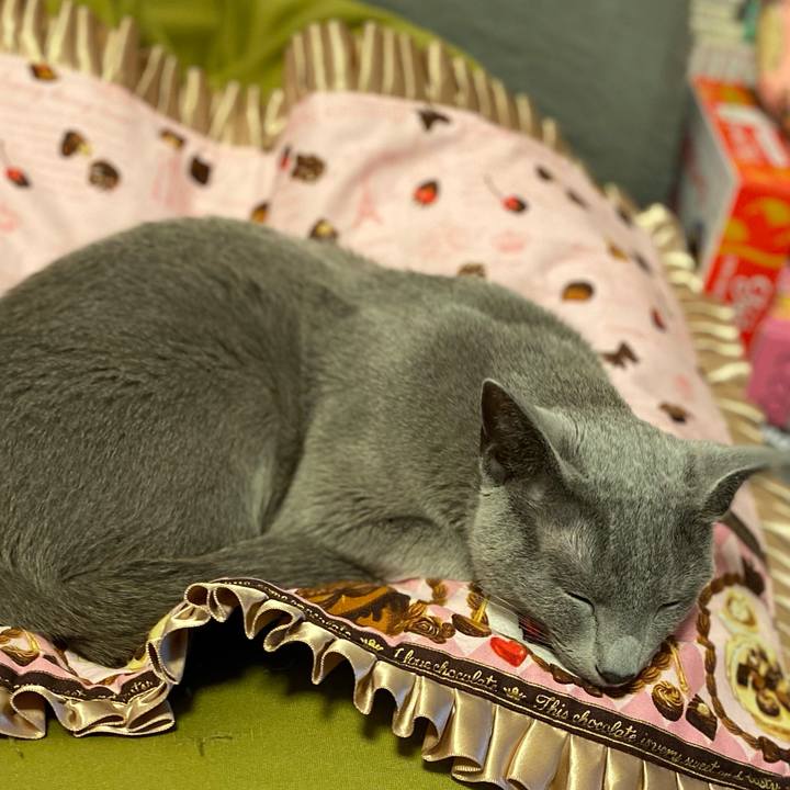 23f828d6 a01a 45df a863 f306be4771b6 1682833975661