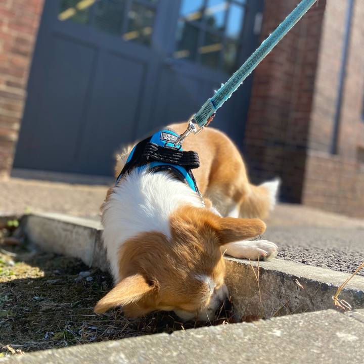 23f87ea6 cc91 4147 8e6f 30c8be341b68 1613812272691