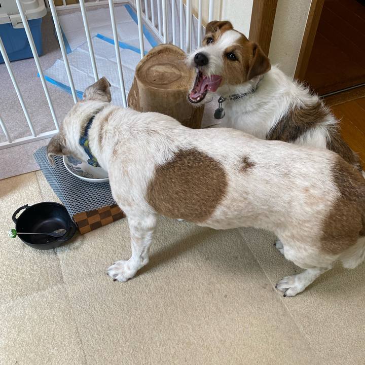 23f89b28 30b7 4df3 afb3 1641589ccd1b 1710899474926