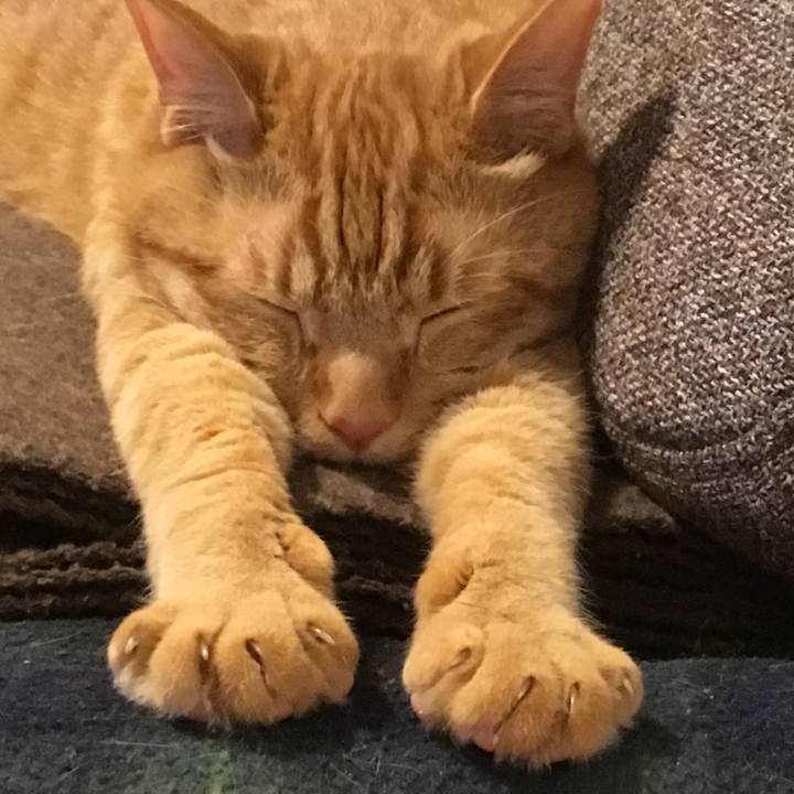 23f89bd5 429c 4f12 b0b9 1285a4e91c24 1525297968204