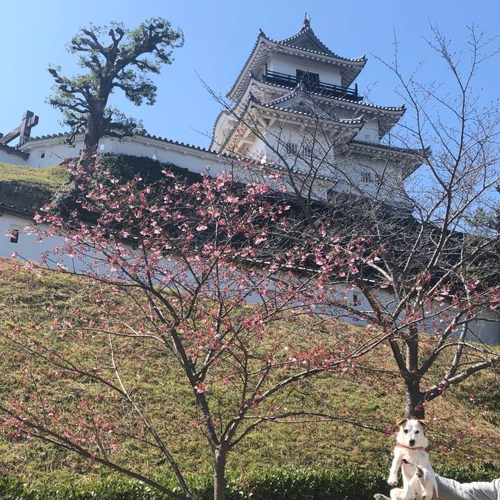 23f8b893 a72e 4e2b a7e5 63072d5ab361 1615705826331