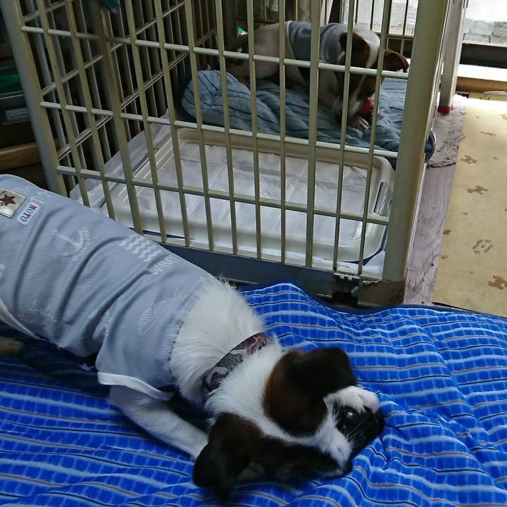 23f8ba58 d6f8 46f5 bd51 94cb8a9d20cc 1530924587448