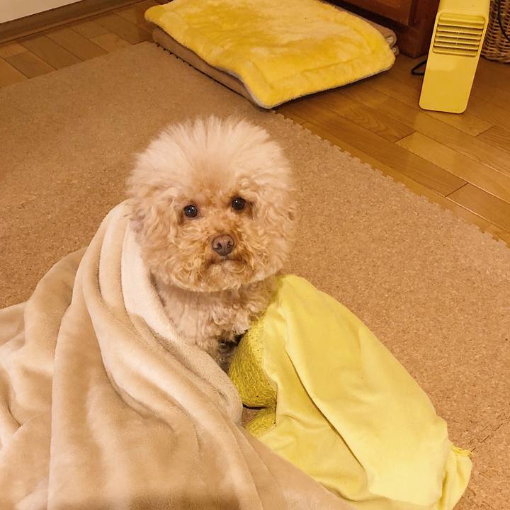 23f93536 48c5 4933 a2d3 505419c29bf7 1516953595038