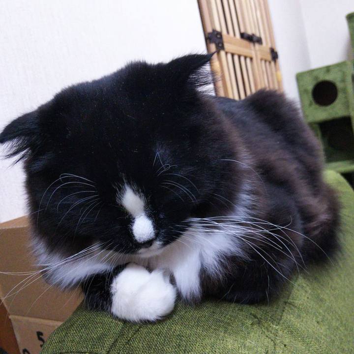 23f94922 76d7 4da8 9ba6 382c1c9ebbda 1647603434316