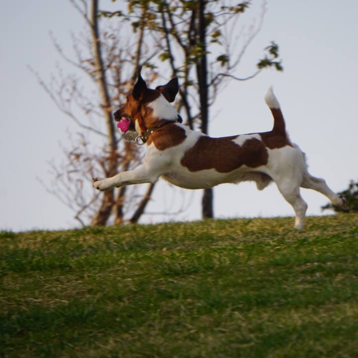 23f9577c f1a4 4b1b a36d 2c541fd7f7df 1522537444470