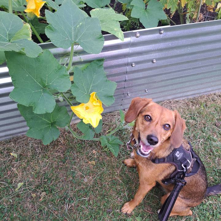 23f97178 acbb 4f55 ba46 111a5fef9aee 1758119937068