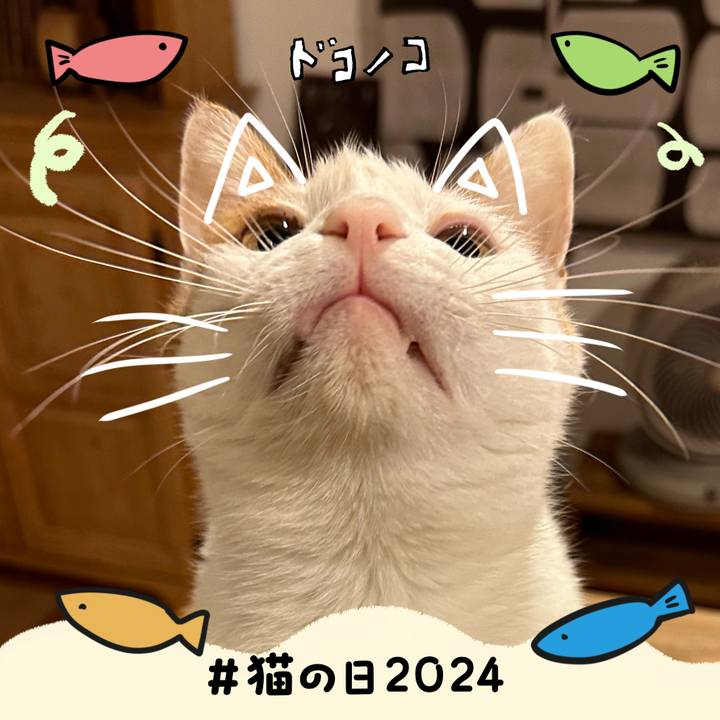 23f9a59f 03ec 4180 9f55 5973586bdee8 1708595313659