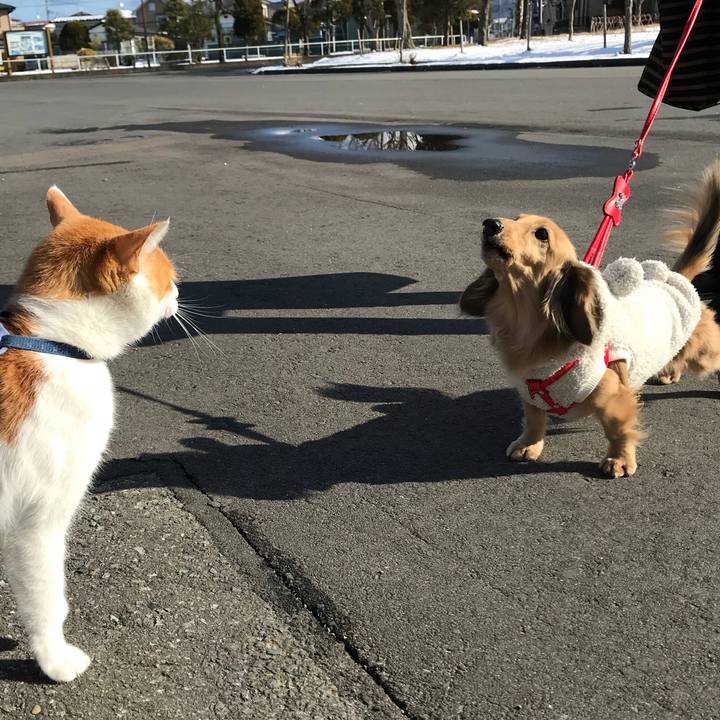 23f9e924 01b3 4a8f 8a1c 54d69e13f1e5 1515039704319