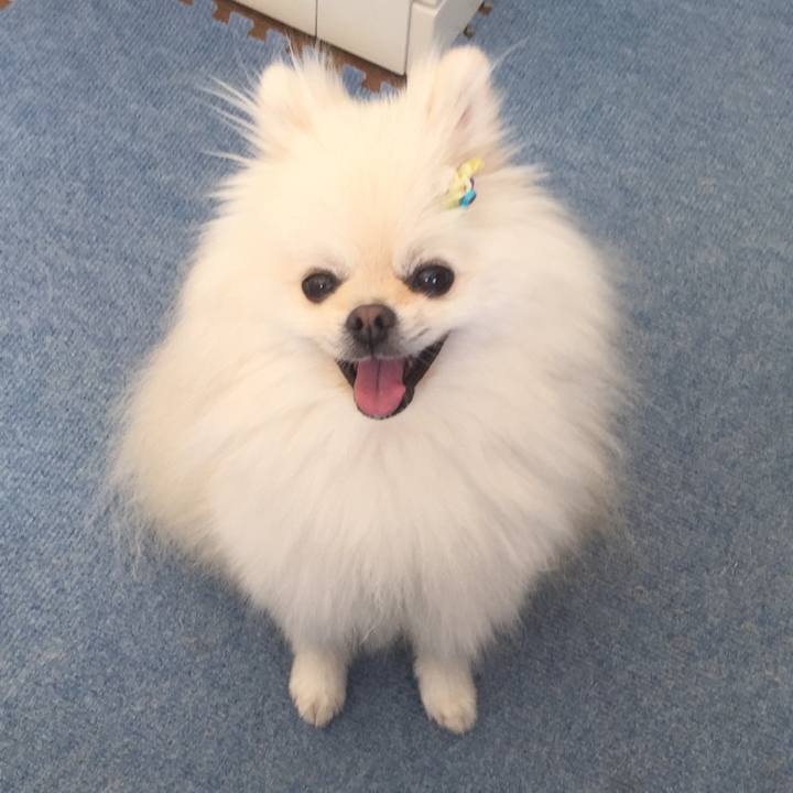 23f9ec25 1cb5 4df1 abb4 3a48859a1eef 1569992539888