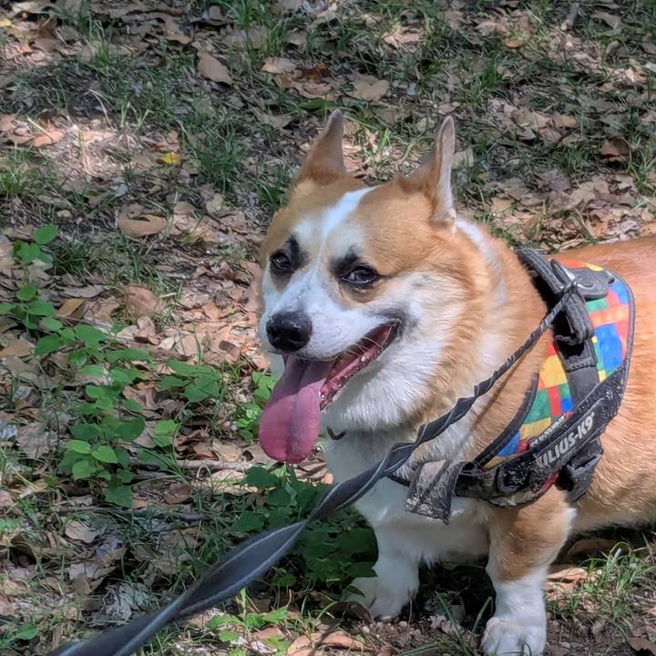 23fa045b 0cab 4c44 ae82 f7373b346dbd 1758160788708