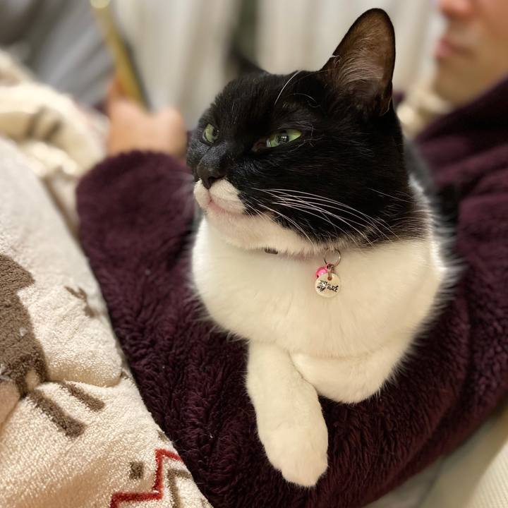 23fa2f8c a923 4558 a4a1 159ea83cb49a 1645847942465