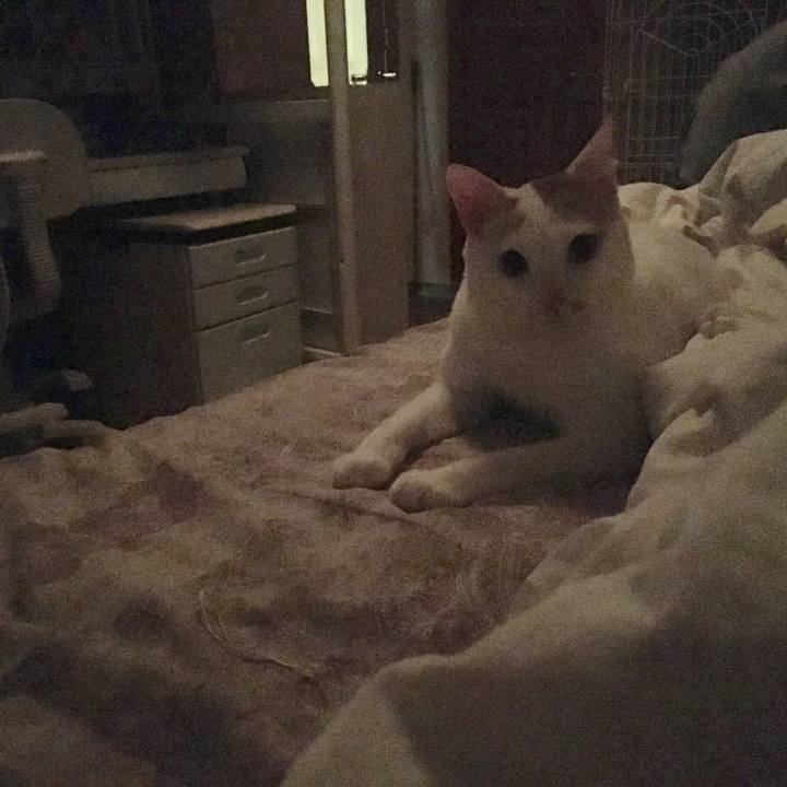 23fa44b4 8655 4d0b 8e47 5f86ad85530e 1536857457033