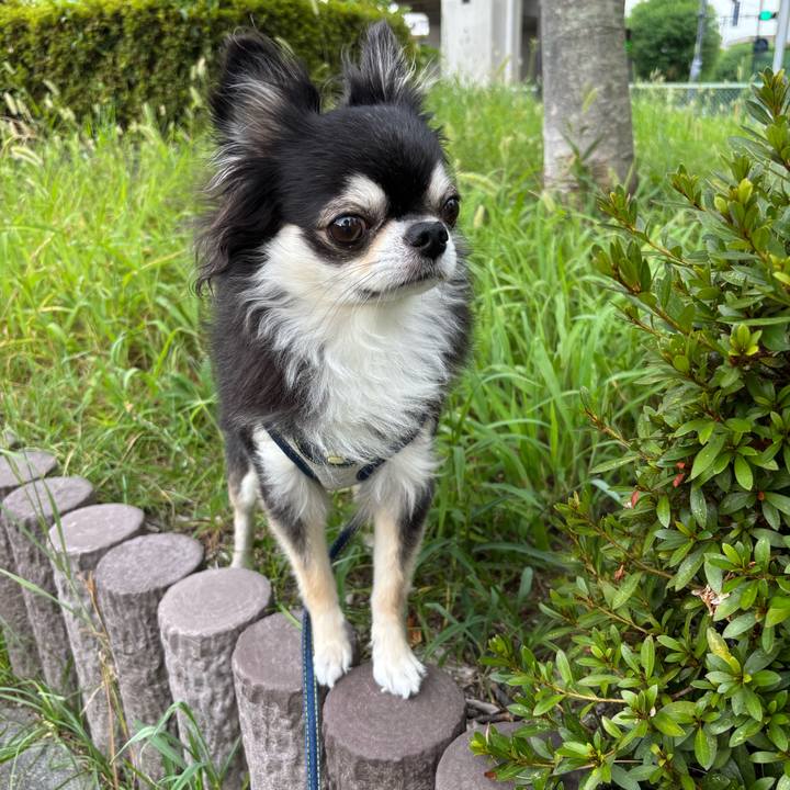 23fa5571 0e75 46eb a64b 3d32783a3a5f 1755362800546