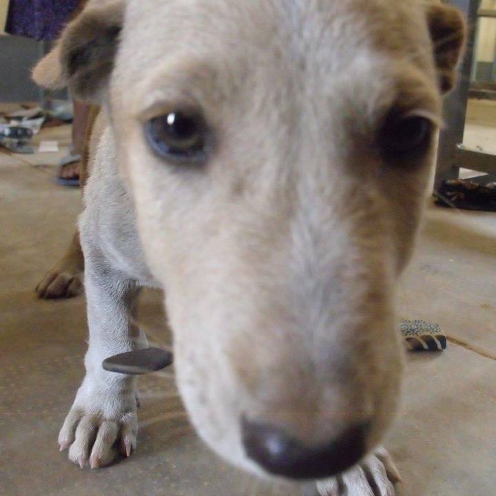 23fa5e3e 68d1 442f a253 54ccc015c194 1588506173631