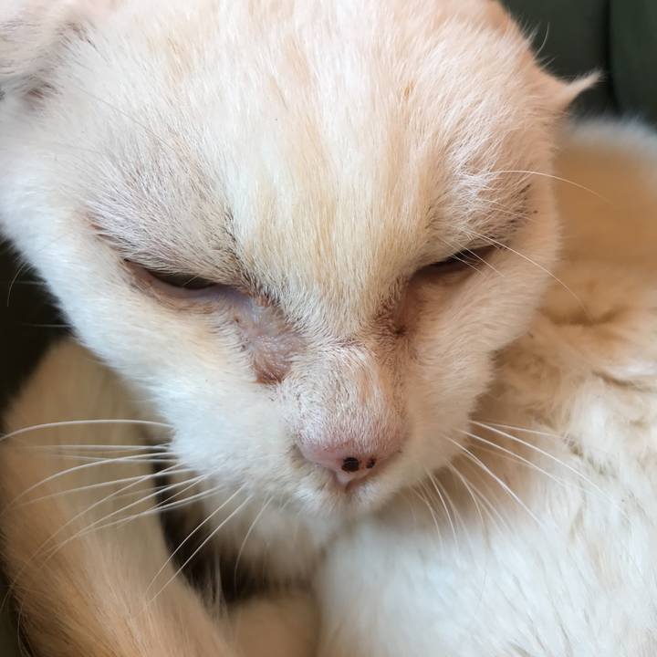 23faf6f3 8407 4212 9e05 c83d08002652 1527892610695