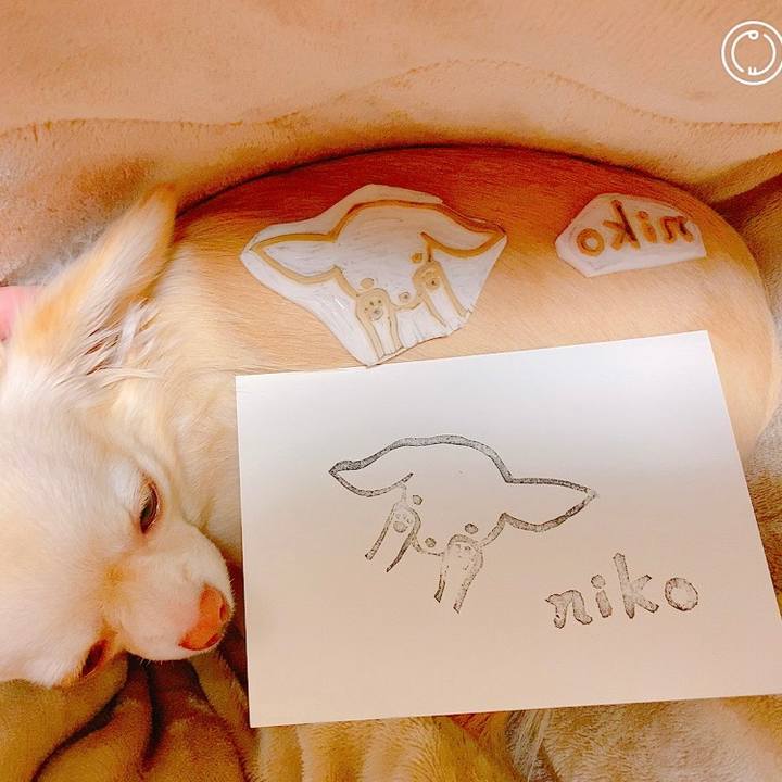 23fb0162 5dbc 47f8 85e6 c474973dde02 1635496179785