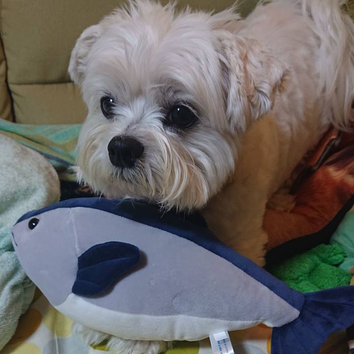 23fb20b0 7031 4a54 ac9f e29d8dd8b7fe 1624023952102