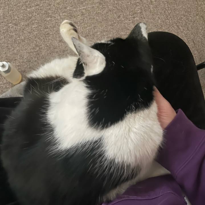 23fb4068 ec5c 4939 b6d0 6a162635396f 1708241314185