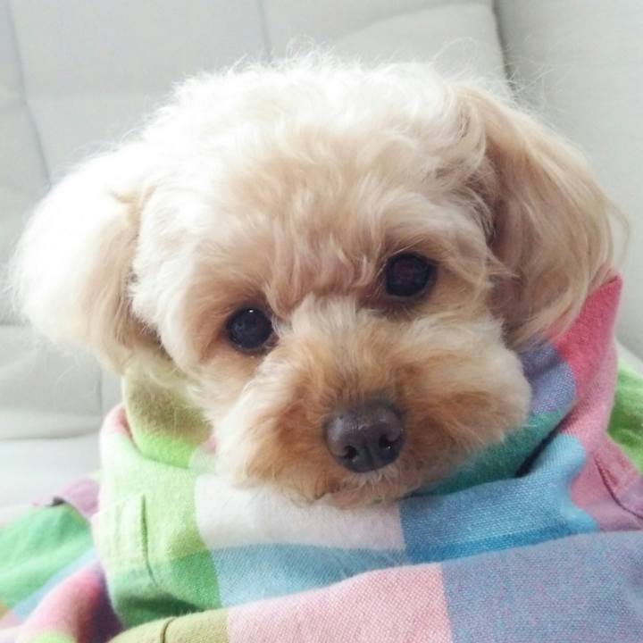 23fb6c2d c60c 401c 8faa 8e5b5bfc3478 1524041753242