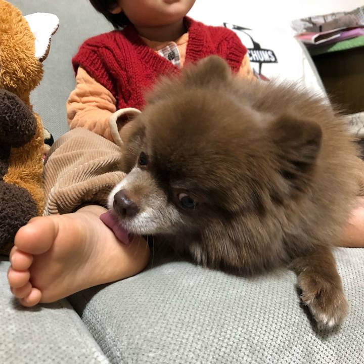 23fba8a5 59e8 4d87 88d3 2fbbe8bc5eb3 1544141129135