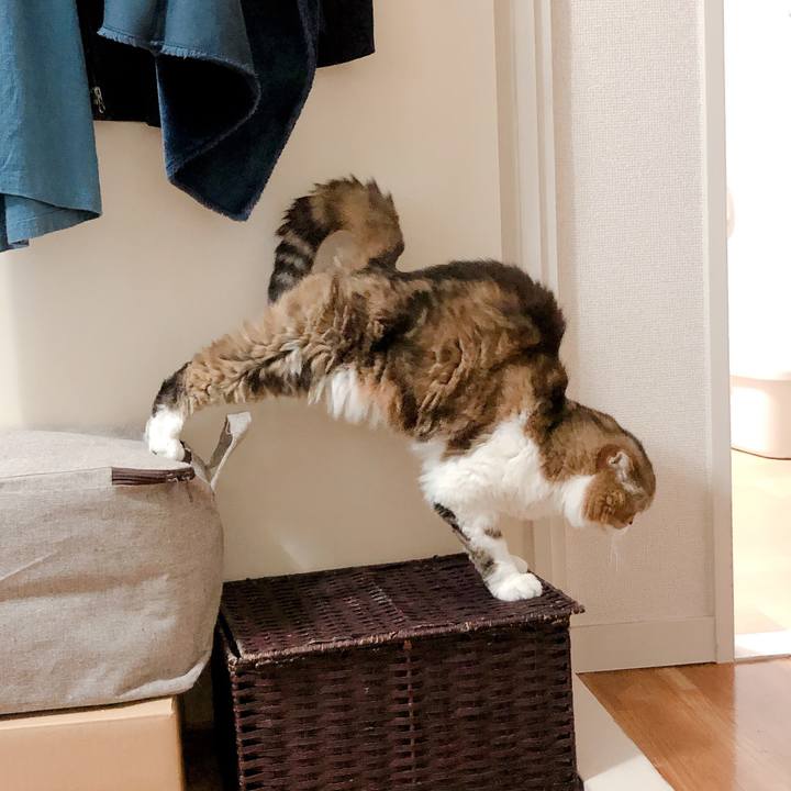 23fc3999 9217 404e 801b d310324381ac 1562594575066