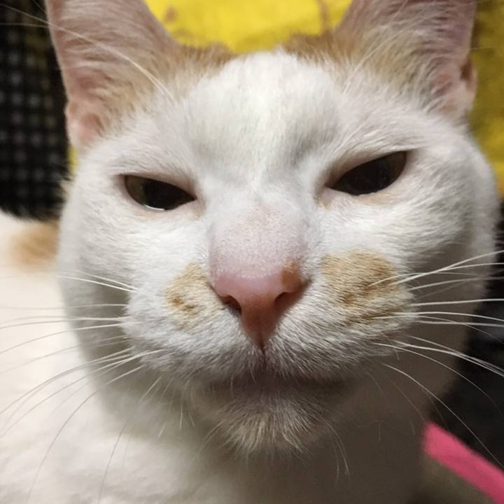 23fc3d57 0c4b 4219 9011 f3d95d4143f9 1560000414103