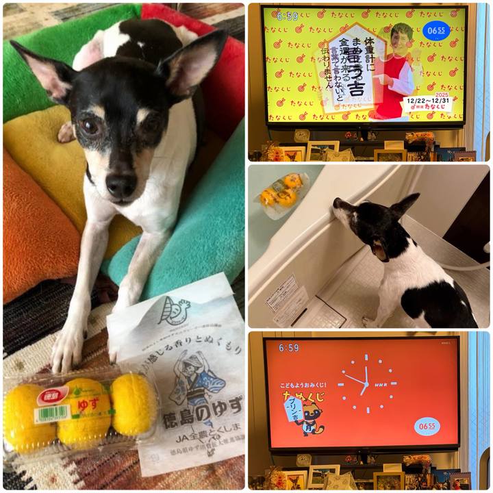 23fc6a53 31d2 4224 b689 f96788509d9f 1766355055481