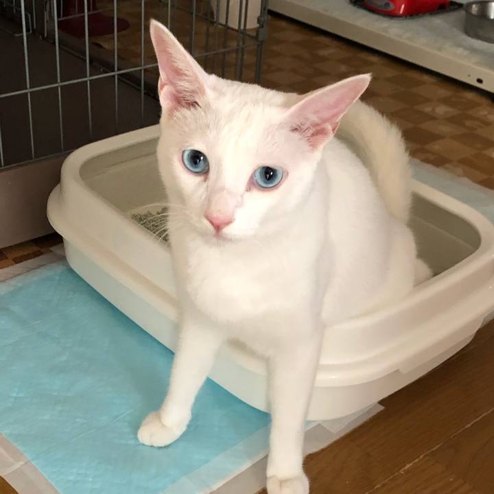 23fcbe7f 291f 400e ac7a 043f68170513 1561263208677