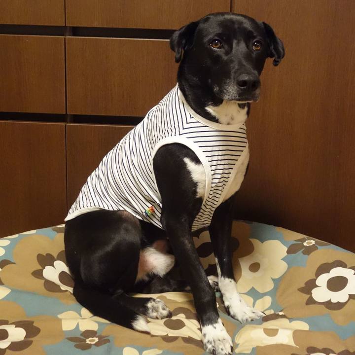 23fcebf2 fac3 43a3 bd2a 18b9401847e9 1618312827864