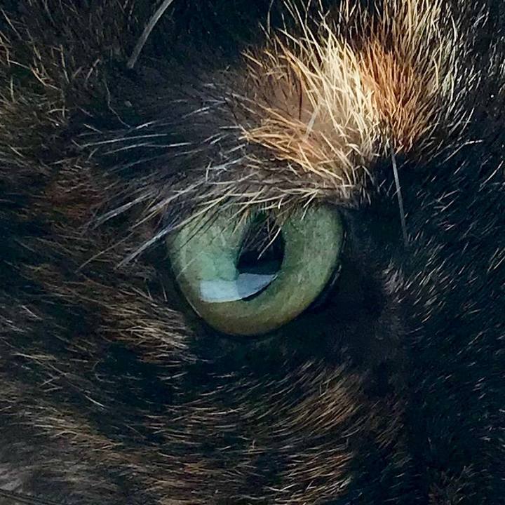 23fd0498 c406 49a0 b997 7684a71bd5dd 1548305050536