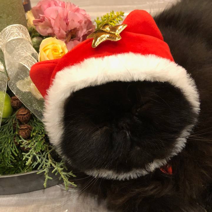 23fd3b48 8a34 4534 9392 a051623c07aa 1545668063865