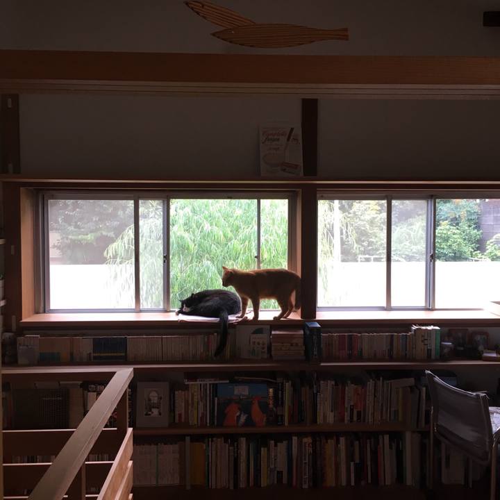 23fd77ba a799 495f b234 736ae7a6d77b 1534721903083