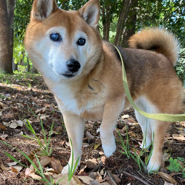 23fd87eb c51a 4134 9a26 2be04d670c50 1681732507595