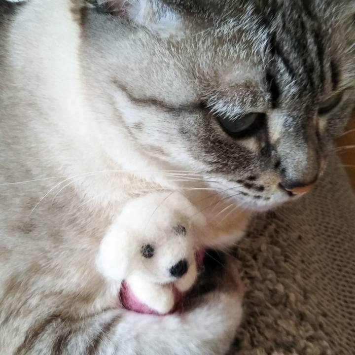 23fdaad7 6839 44cf af32 4aa5fc8a1863 1564875784152