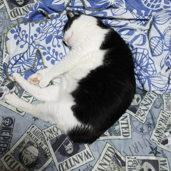 23fdab00 9bb6 475f b6b6 7c2bbe706176 1527772866608