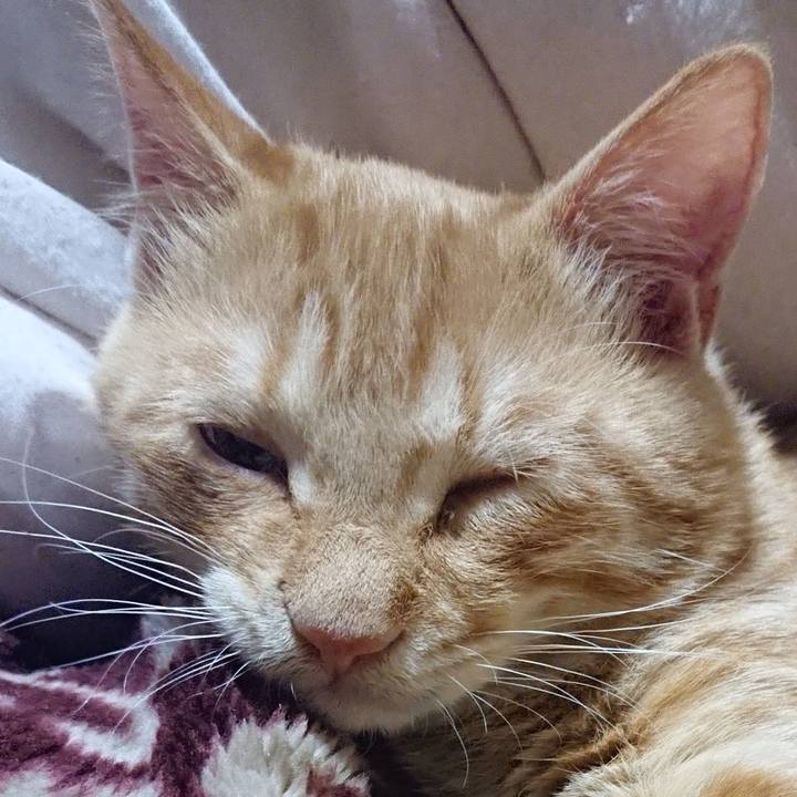 23fdf076 1b49 4682 813b de474d560d25 1635684216853