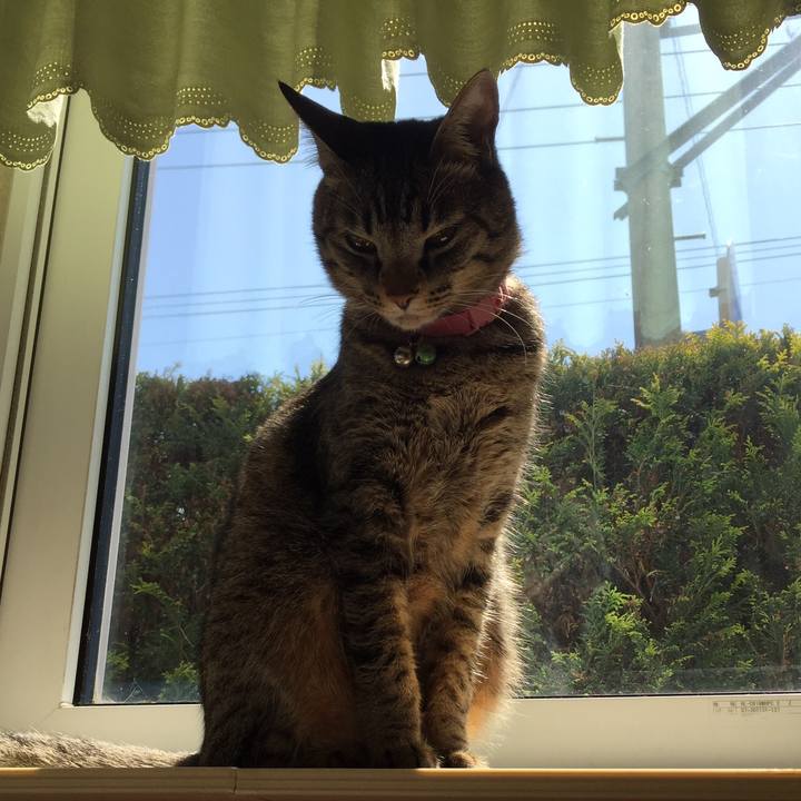 23fe3f56 274d 4710 8f03 be239ba1318d 1531663843734