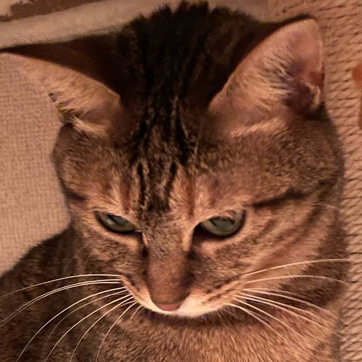 23fea82a 0724 4030 a4af 3f320f0d0c41 1638621516906