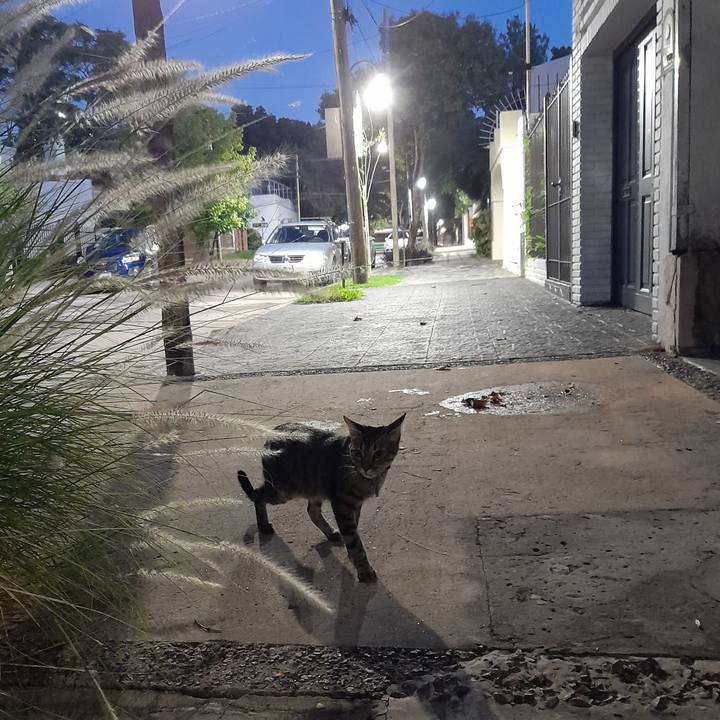 23fea879 0bd2 4a85 b6f0 3fe375380c3e 1772012088051