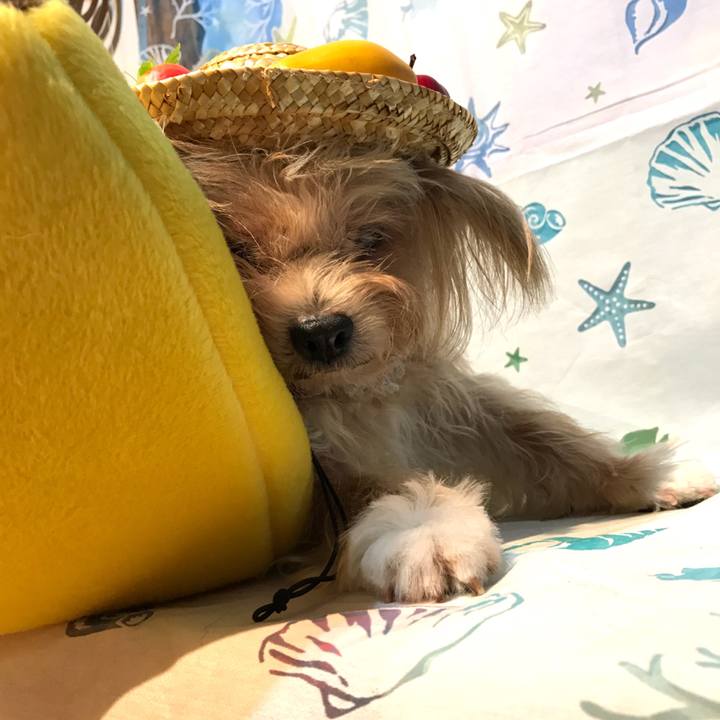 23fec576 cd75 4174 a7d2 53f4a32b1018 1536688200210