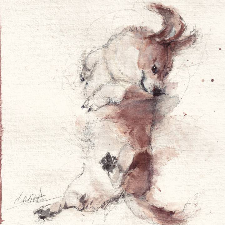 23fecfd6 9f5d 4a75 ade4 1951b532379d 1748005606322