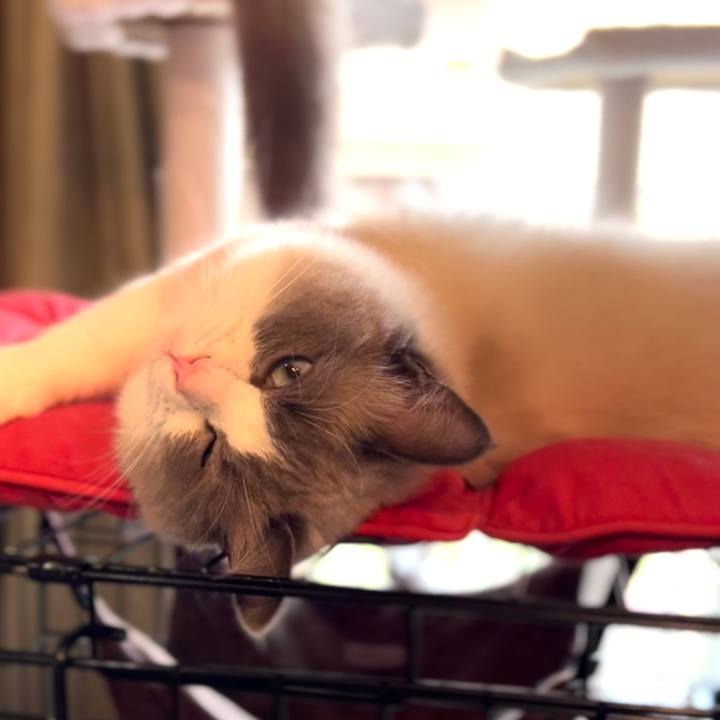 23fedf85 05cf 4a91 9544 caf890f67e9d 1651823999209