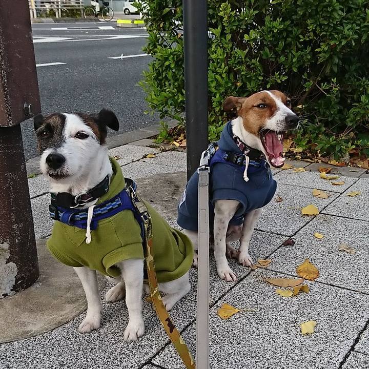 23fee816 4814 4160 b5a5 017865bb5929 1544226417007